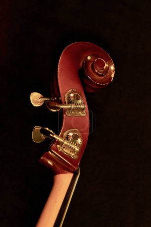 Photo for Image of a double bass head from a decorative scroll and a peg box with pegs - Royalty Free Image