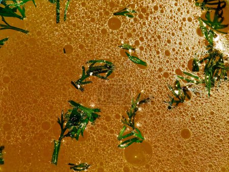 Image background of chicken broth with dil