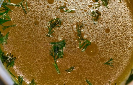 Image background of chicken broth with dil
