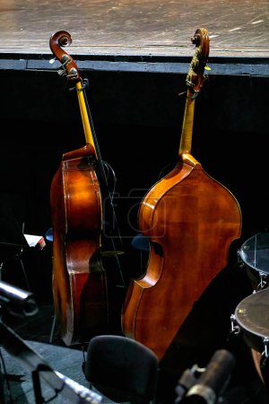 Image of two double basses standing in the orchestra pit of a theater