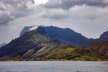 Foto de Selvas tropicales en las montañas en las nubes nubladas de lluvia en la isla Moorea en el grupo de Sotavento de las Islas de la Sociedad de la Polinesia Francesa. - Imagen libre de derechos