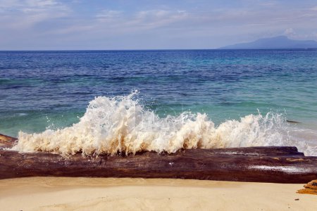 Téléchargez les photos : Grumes énormes avec une grosse vague mousseuse sur la plage de Pantai Base à Sentani, Jayapura, Nouvelle Guinée. - en image libre de droit
