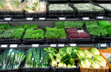 Foto de Letonia, Riga, 18, septiembre de 2023: Una variedad de microgreens y otras verduras verdes frescas en los estantes de los supermercados en Riga, Letonia. Concepto de comida saludable. - Imagen libre de derechos