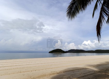 White sand on tropical Chenang beach with tall palm trees near the Andaman Sea on Langkawi island, Malaysia. Natural landscape of a tropical beach.