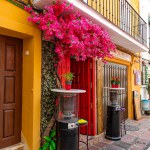 SPAIN, MARBELLA, 25, MAY, 2023: External view of the street cafe surrounded by flowering trees in Marbella Old Town, Spain