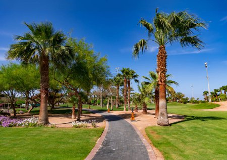 Schöne Landschaft mit Palmen, Kakteen und blühenden Sträuchern auf dem Gelände eines modernen Hotels in Hurghada, Ägypten.