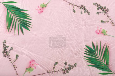 Téléchargez les photos : Belles branches vertes d'eucalyptus sec et de palmiers sur fond d'eau rose - en image libre de droit