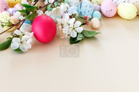 Foto de Hermosa tarjeta de Pascua con huevos coloridos y ramas de cereza sobre fondo rosa de papel. Tarjeta de felicitación floral con copyspace para su texto. - Imagen libre de derechos