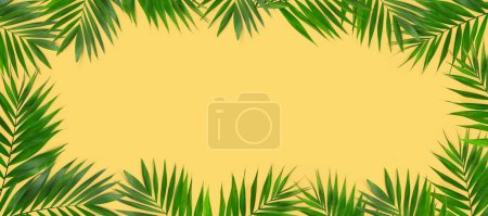 Téléchargez les photos : Minimale feuille de palmier vert tropical sur fond de papier jaune
. - en image libre de droit