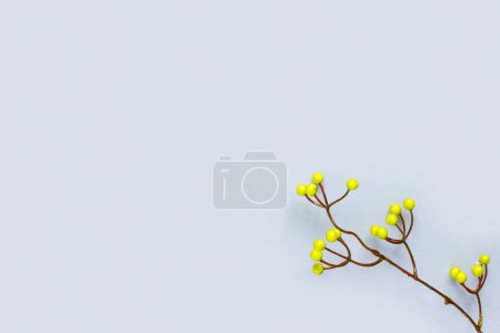 Photo for Autumn oak and rowan branches with red berries on blue background - Royalty Free Image