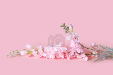 Téléchargez les photos : Bouquet de délicates fleurs artificielles sur fond rose. Décoratif floral à l'intérieur de la maison. - en image libre de droit