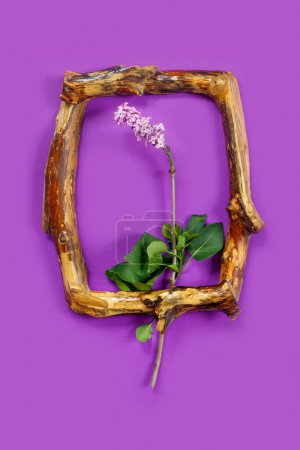 Téléchargez les photos : Modèle pour la conception avec cadre en bois vintage et branche de lilas. - en image libre de droit