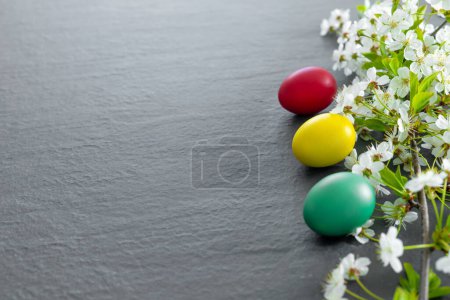 Téléchargez les photos : Belle carte de Pâques avec des œufs colorés et des branches de cerise sur fond vert papier. Carte de vœux florale avec espace de copie pour votre texte. - en image libre de droit