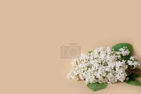 Photo for Bouquet of delicate artificial white lilac on beige background. Decorative flowers in the interior of the house. - Royalty Free Image