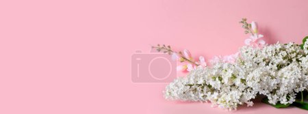 Téléchargez les photos : Bouquet de délicat lilas blanc artificiel sur fond rose. Fleurs décoratives à l'intérieur de la maison. - en image libre de droit