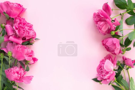 Téléchargez les photos : Bouquet de belles pivoines roses sur fond de papier délicat. Contexte conceptuel minimal. - en image libre de droit