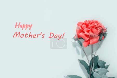 Téléchargez les photos : Bouquet of beautiful pink peonies with gift boxes in paper wrapping. Round frame of flowers. Background with text Happy Mother's Day! - en image libre de droit