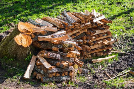 Photo for Dry firewood stack on field. - Royalty Free Image