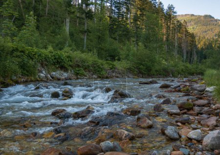 Photo for Mountain river at Tatra  national park. - Royalty Free Image