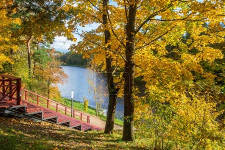 Téléchargez les photos : Vue sur la rivière Ogre un jour d'automne. - en image libre de droit