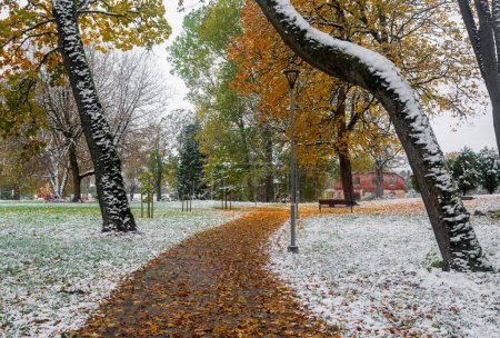 Photo for Walkway on the first snow with yellow leaves . - Royalty Free Image