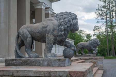 Esculturas de leones Medici en la entrada de la mansión Astravas en Birzai, Lituania.
