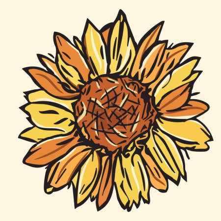 Photo for Sunflower vector illustration for print design. Spring botanical print. Vector template. Concept graphic design element. Spring decoration. - Royalty Free Image