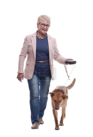 Photo for Side view . senior lady and her dog walking together. isolated on a white background - Royalty Free Image