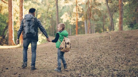 Photo for Back view of happy family child and caring father walking in forest with backpacks holding hands and talking, boy is throwing pine cones. Nature, fatherhood and autumn concept. - Royalty Free Image