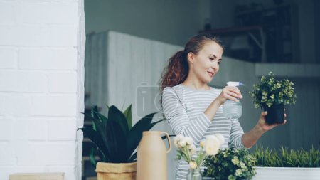 Téléchargez les photos : La femme au foyer joyeuse arrose les plantes vertes à l'aide d'un pulvérisateur tenant des pots de fleurs et souriant debout dans un bel appartement lumineux. Ménages, personnes et botanique concept
. - en image libre de droit