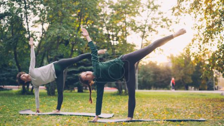Foto de Hermosas señoritas están de pie en Half Moon pose Ardha Chandrasana durante la clase de yoga par en el parque en otoño. Estilo de vida saludable, enseñanza y aprendizaje y concepto deportivo
. - Imagen libre de derechos