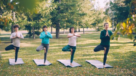 Téléchargez les photos : Filles ciblées yogini sont debout dans Vrksasana pose Position de l'arbre sur les tapis de yoga dans le parc en automne en maintenant l'équilibre et la respiration. Concept bien-être, nature et jeunesse
. - en image libre de droit