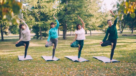 Foto de Mujeres jóvenes delgadas están haciendo variaciones de la pose del árbol durante la clase de yoga al aire libre en el parque relajándose y disfrutando de la naturaleza y la actividad. Concepto de deporte, juventud y salud
. - Imagen libre de derechos