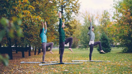 Foto de Vista lateral de tres chicas delgadas haciendo yoga en el parque practicando ejercicios de equilibrio de pie sobre una pierna en la esterilla y los brazos y el cuerpo en movimiento. Juventud, ocio y afición útil concepto
. - Imagen libre de derechos