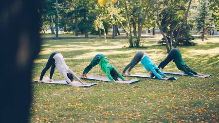 Foto de Chicas bonitas deportistas están practicando hatha yoga al aire libre en el parque de la ciudad haciendo ejercicios sobre esteras brillantes con ropa deportiva. Naturaleza, bienestar y concepto de actividad
. - Imagen libre de derechos