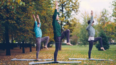 Téléchargez les photos : Les jeunes femmes minces font de l'exercice à l'extérieur dans le parc en se penchant vers l'avant et vers l'arrière en étirant le corps et les bras. Activité récréative, sport et concept de personnes
. - en image libre de droit