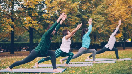 Téléchargez les photos : Les jeunes étudiantes de yoga se tiennent debout dans la pose guerrière puis se déplacent en position triangle pendant les cours en plein air dans le parc en automne. Concept jeunesse, nature et santé
. - en image libre de droit