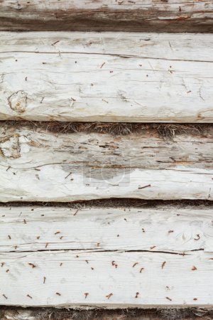 Téléchargez les photos : Modèle de fond de texture en bois. Vintage de bois de planche de grange fond, - en image libre de droit