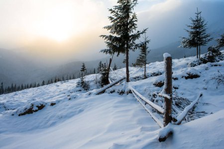 Téléchargez les photos : Paysage hivernal dans les Carpates. Matin givré et ensoleillé - en image libre de droit