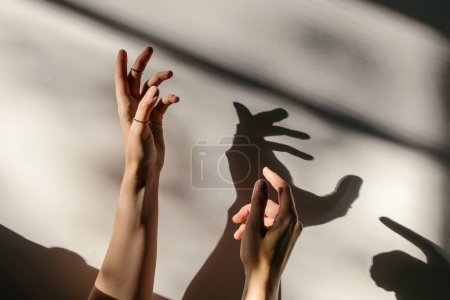 Photo for Woman's hands in natural sunlight and shadow. Minimalist concept - Royalty Free Image