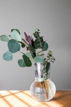 Photo for Branches of eucalyptus in a fluted glass vase, minimal home decor in natural light - Royalty Free Image