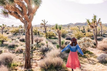 Photo for A woman wearing a hat explores the Joshua Tree landscape, travel and outdoor exploration - Royalty Free Image