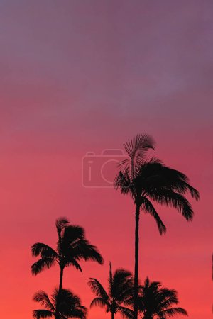 Photo for Silhouettes of tropic palms against the sky on sunset or sunrise, bright red colors, summer background - Royalty Free Image
