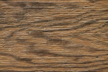 Photo for Rough wooden texture close-up, wood background - Royalty Free Image
