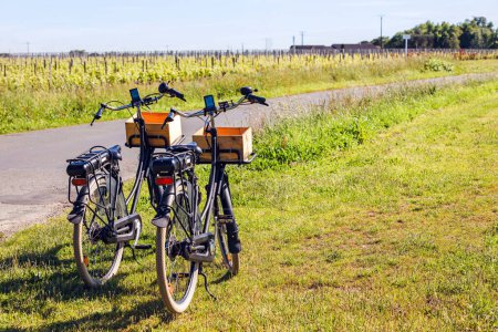 Deux vélos debout sur la route rurale près de la cour de vin. Voyage d'été, France, région de Bordeaux