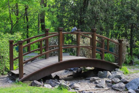 Foto de Pequeño puente de madera en el parque - Imagen libre de derechos