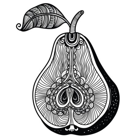 Téléchargez les illustrations : Pear vector illustration. Vector hand drawn abstract pear symbol isolated on white. Fresh tropical food black and white illustration. - en licence libre de droit