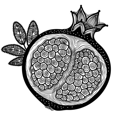Illustration for Garnet fruit vector out line sketch illustration with abstract decoration. Vector garnet white black graphic illustration isolated on white background for print or coloring book. - Royalty Free Image
