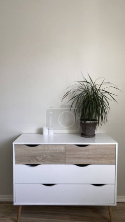 Photo for Modern nordic style dresser with flower pot on it in front of clean wall, minimalist scandinavian interior design - Royalty Free Image