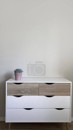 Photo for Modern nordic style dresser with flower pot on it in front of clean wall, minimalist scandinavian interior design - Royalty Free Image